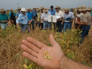 estiman-escenario-complicado-productores-soja[1]